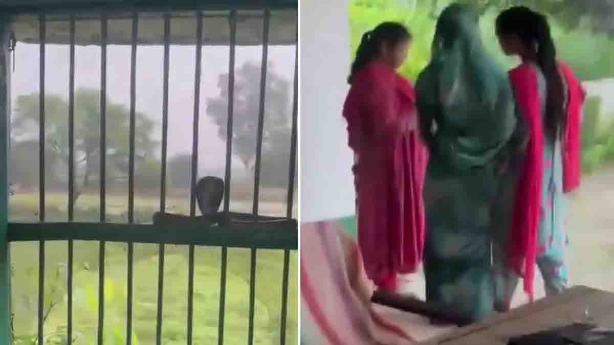 Cobra in UP School: Giant Snake Appears on Classroom Window, Viral Video Stuns Internet