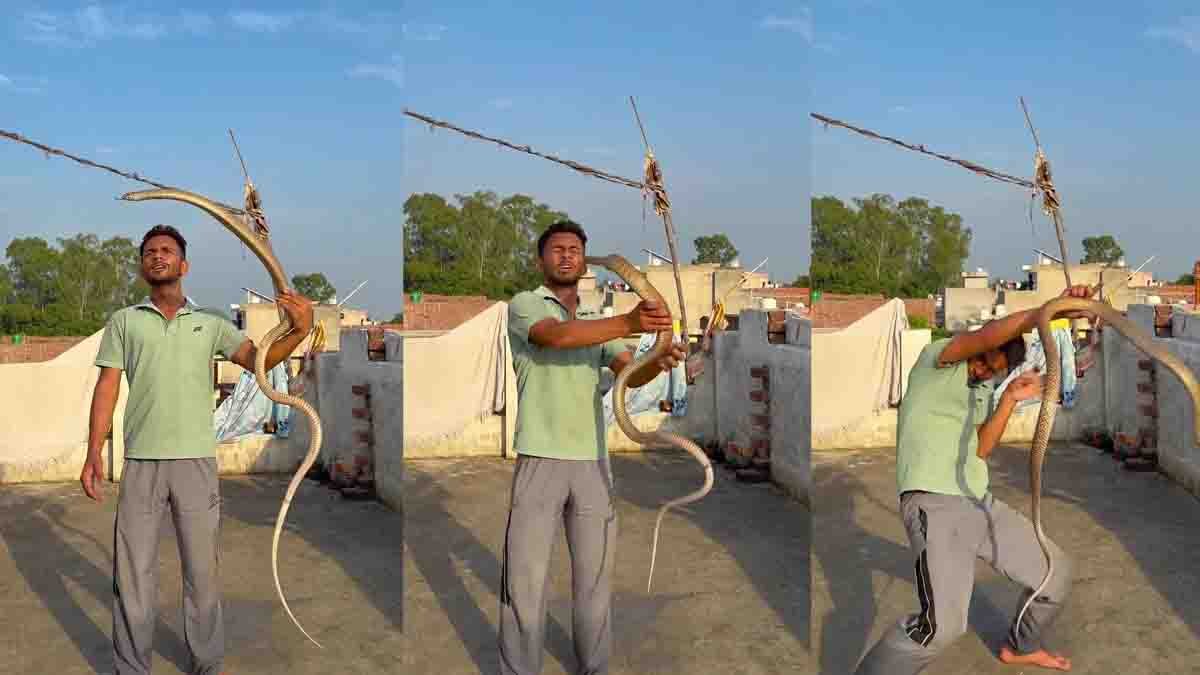 Snake Reel Viral Video : ಹೀರೋ ಆಗೋಕೆ ಹೋಗಿ ಜೀರೋ ಆದ ಯುವಕ! 10 ಅಡಿಯ ಹಾವಿನ ಜೊತೆ ರೀಲ್ಸ್ ಮಾಡೋಕೆ ಹೋದವನಿಗೆ ಸಿಕ್ಕಿತು ಸರಿಯಾದ ಶಿಕ್ಷೆ! 1 Snake Reel Viral Video showing a content creator bitten on the face by a venomous snake while recording a dangerous Instagram Reel.