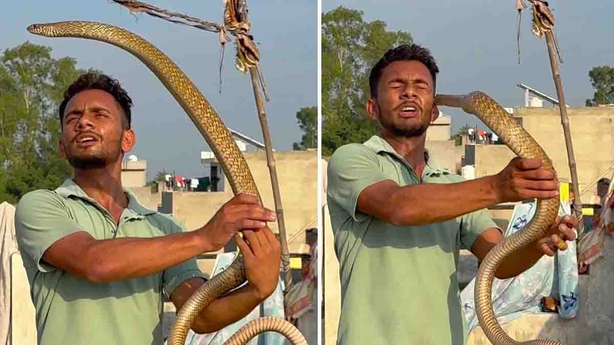 Snake Reel Viral Video : ಹೀರೋ ಆಗೋಕೆ ಹೋಗಿ ಜೀರೋ ಆದ ಯುವಕ! 10 ಅಡಿಯ ಹಾವಿನ ಜೊತೆ ರೀಲ್ಸ್ ಮಾಡೋಕೆ ಹೋದವನಿಗೆ ಸಿಕ್ಕಿತು ಸರಿಯಾದ ಶಿಕ್ಷೆ! 1 Snake Reel Viral Video showing a content creator bitten on the face by a venomous snake while recording a dangerous Instagram Reel.