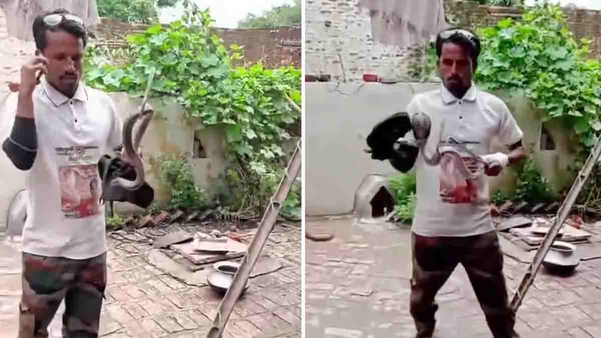 Snake Rescue Video : ಮೊಬೈಲ್ ಬಳಸುತ್ತಾ ನಾಗರಹಾವು ಹಿಡಿಯಲು ಹೋದ ಯುವಕನಿಗೆ ಕಚ್ಚಿದ ಹಾವು, ವೈರಲ್ ಆದ ವಿಡಿಯೋ…! 1 Snake rescue video showing a young rescuer bitten by a venomous cobra while attempting to capture the snake safely.