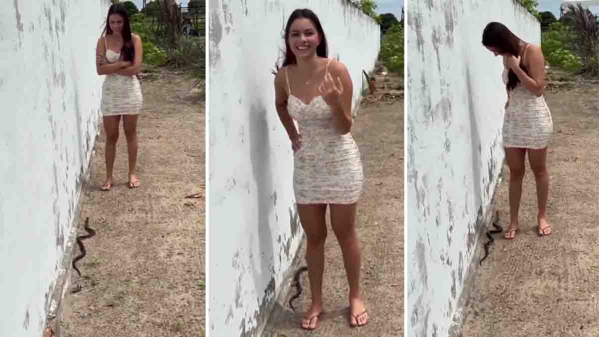 Snake Viral Video showing a fearless young woman standing calmly while a cobra quietly slithers away without raising its hood.