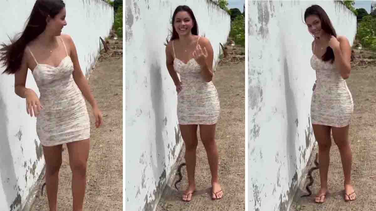 Snake Viral Video showing a fearless young woman standing calmly while a cobra quietly slithers away without raising its hood.