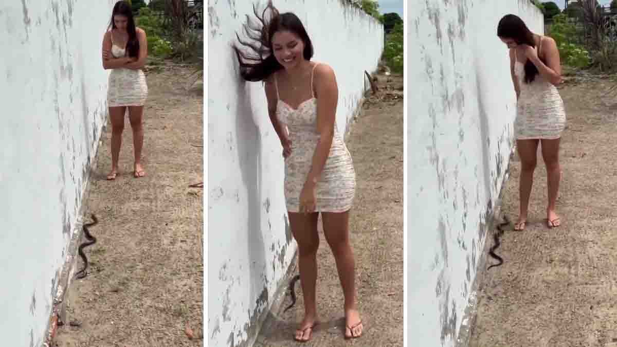 Snake Viral Video showing a fearless young woman standing calmly while a cobra quietly slithers away without raising its hood.