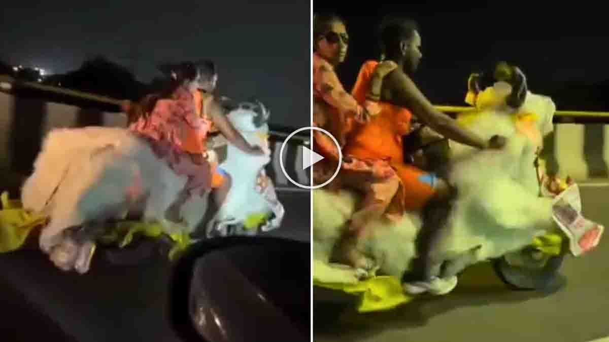 Kanwar Yatra Nandi Bike ridden by Shiva devotees during the pilgrimage