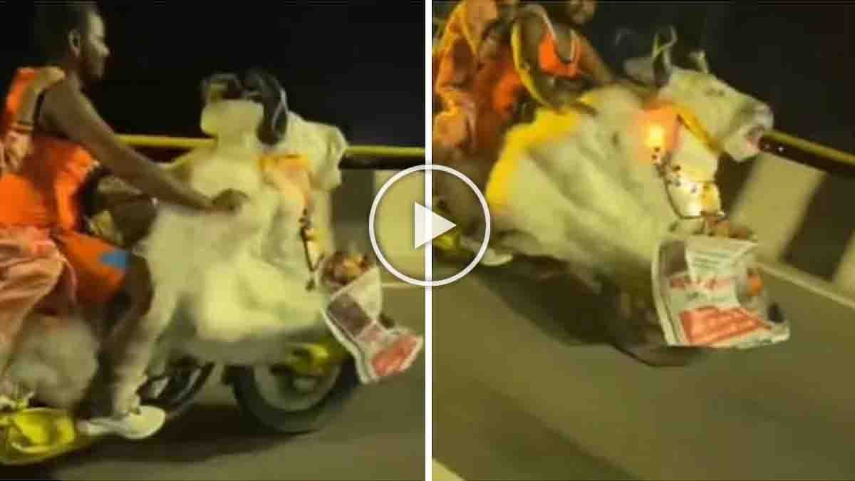 Kanwar Yatra Nandi Bike ridden by Shiva devotees during the pilgrimage