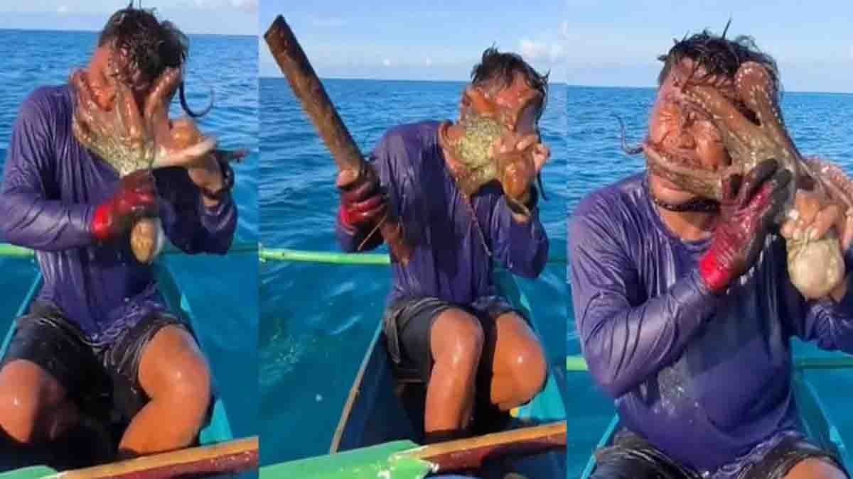 Philippines Octopus Attack : ಮುಖಕ್ಕೆ ಸುತ್ತಿಕೊಂಡ ಆಕ್ಟೋಪಸ್, ಉಸಿರುಗಟ್ಟಿ ಸಾಯುವ ಹಂತದಿಂದ ಪಾರಾದ ಮೀನುಗಾರ! ಮೈಜುಮ್ಮೆನಿಸುವ ವಿಡಿಯೋ ವೈರಲ್ 1 Philippines Octopus Attack leaves fisherman fighting for breath after an octopus wraps around his face. Watch the terrifying viral video.