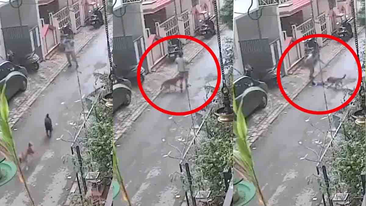 ಬೆಚ್ಚಿಬೀಳಿಸುವ ವಿಡಿಯೋ (Pune Stray Dog Attack): ಪುಣೆಯಲ್ಲಿ ಕಂದಮ್ಮನನ್ನು ಎತ್ತಿಕೊಂಡಿದ್ದ ತಾಯಿ ಮೇಲೆ ಬೀದಿ ನಾಯಿ ಭೀಕರ ದಾಳಿ...! 1 Pune Stray Dog Attack on a woman carrying her baby in Old Sangvi