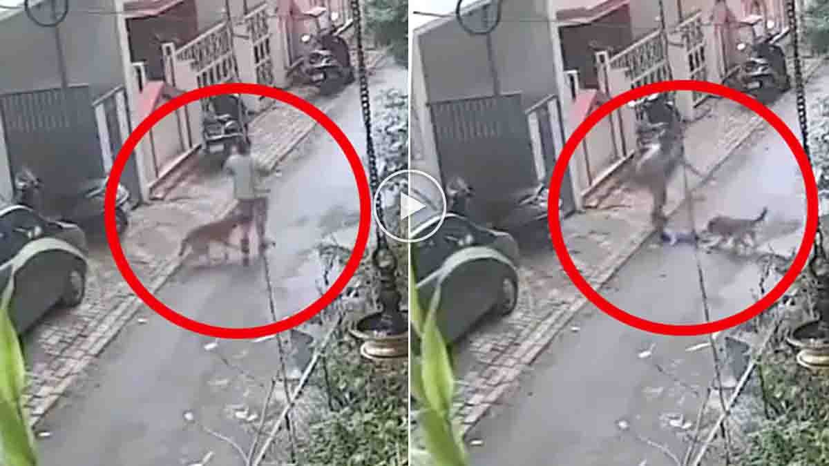 Pune Stray Dog Attack on a woman carrying her baby in Old Sangvi