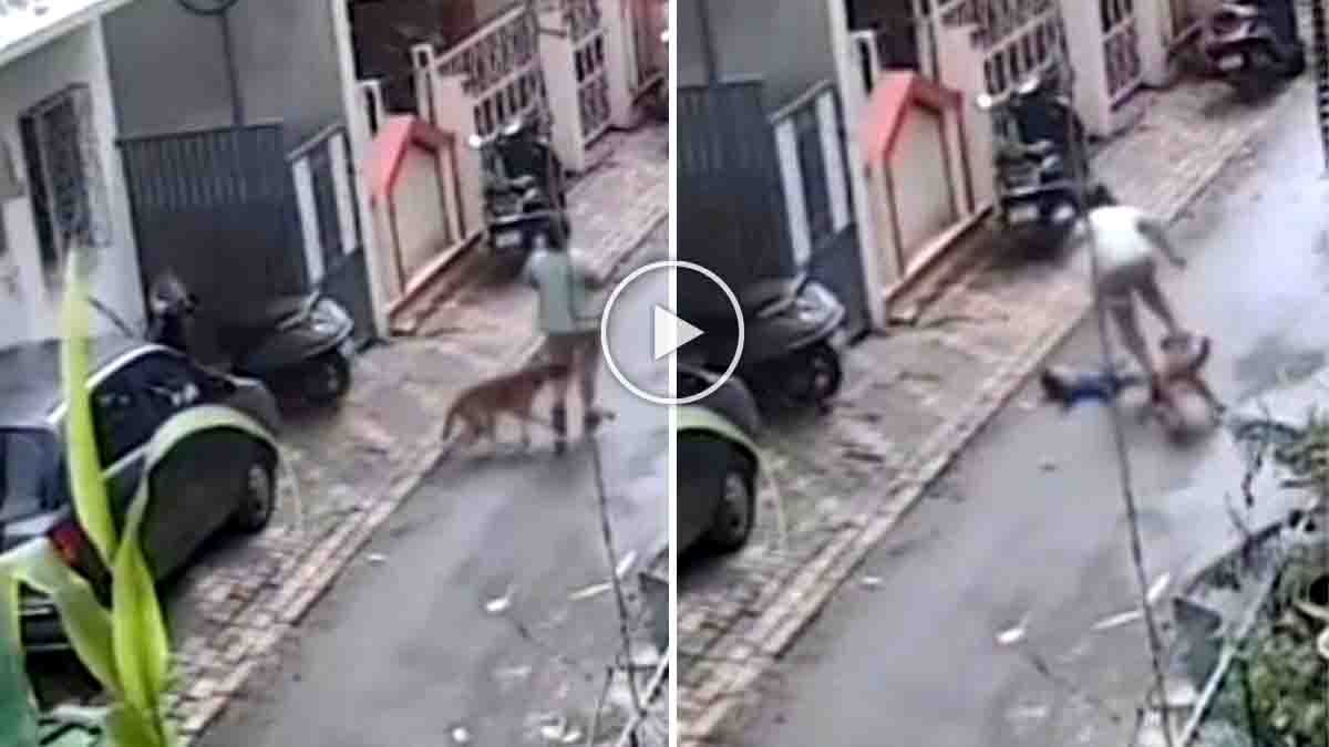 Pune Stray Dog Attack on a woman carrying her baby in Old Sangvi