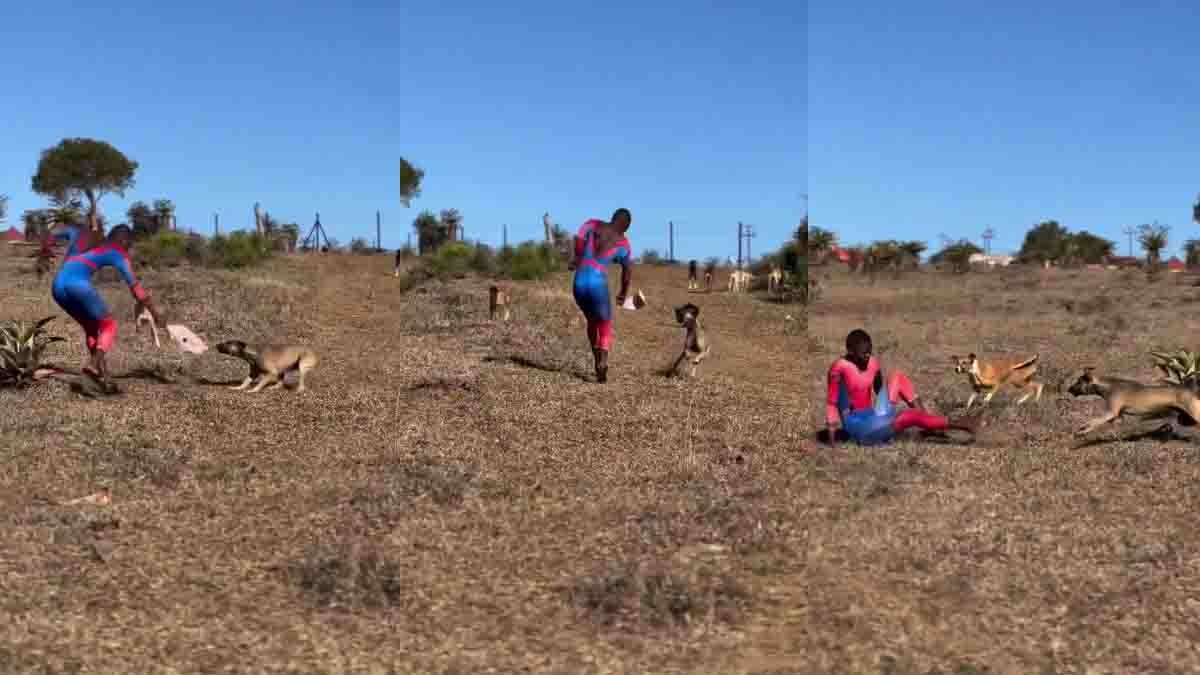 Spider Man Funny Video : ಸೂಪರ್ಹೀರೋ ಸ್ಪೈಡರ್ಮ್ಯಾನ್ ಬೆನ್ನಟ್ಟಿದ ಬೀದಿ ನಾಯಿಗಳು! ನೀವು ನಗದಿರಲು ಸಾಧ್ಯವಿಲ್ಲ, ಫನ್ನಿ ವಿಡಿಯೋ...! 3 Spider-Man Funny Video shows a man in costume being chased by street dogs