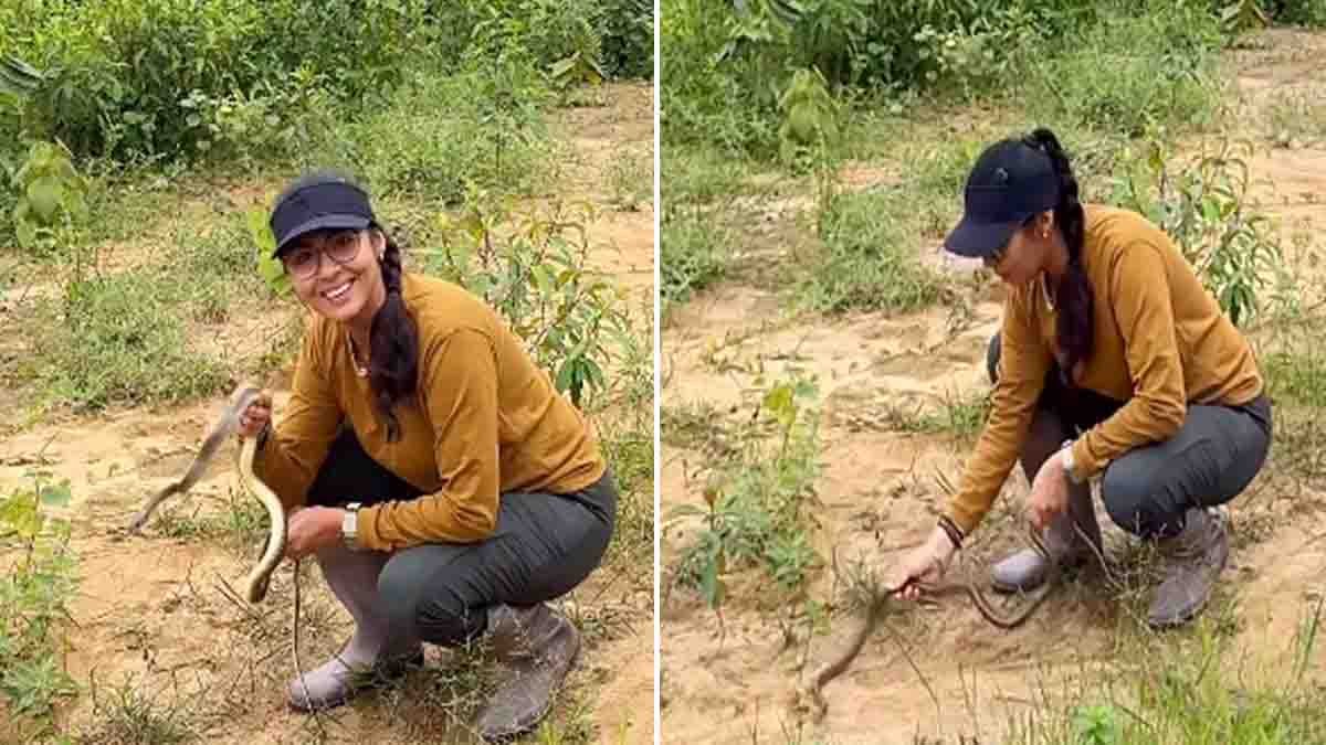 Actress Sada Snake Rescue Video | Viral Wildlife Rescue in Tripura