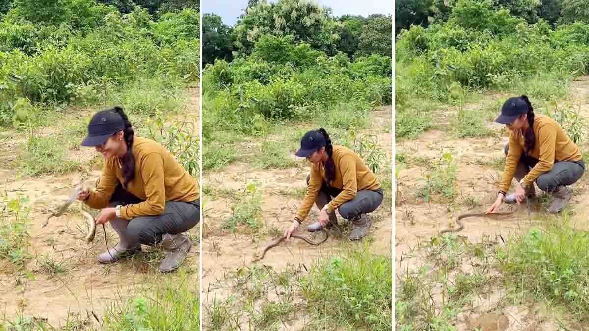 Actress Sada Snake Rescue Video | Viral Wildlife Rescue in Tripura