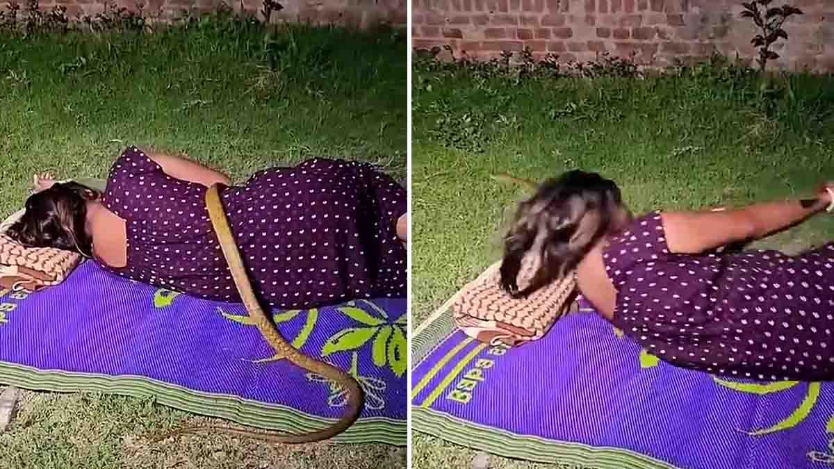 Cobra Viral Video : ಗಾಢ ನಿದ್ರೆಯಲ್ಲಿದ್ದ ಮಹಿಳೆಯ ಮೈಮೇಲೆ ಹರಿದ ಬೃಹತ್ ನಾಗರಹಾವು: ಬೆಚ್ಚಿಬೀಳಿಸುವ ವಿಡಿಯೋ ವೈರಲ್! 1 Cobra viral video showing a giant cobra crawling over a sleeping woman