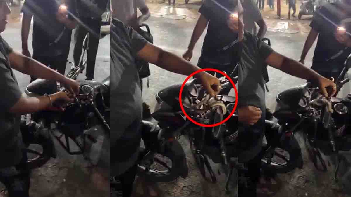 Trinket Snake Rescue : ಬೈಕ್ ಹೆಡ್ ಲೈಟ್ ನಲ್ಲಿ ಅಡಗಿ ಕುಳಿತಿದ್ದ ಹಾವು! ಪುಣೆಯಲ್ಲಿ ನಡೆದ ಘಟನೆಯ ವಿಡಿಯೋ ವೈರಲ್...! 5 Trinket Snake Rescue: Non-Venomous Snake Safely Removed from Motorcycle Headlight in Pune