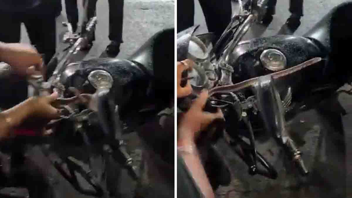 Trinket Snake Rescue: Non-Venomous Snake Safely Removed from Motorcycle Headlight in Pune