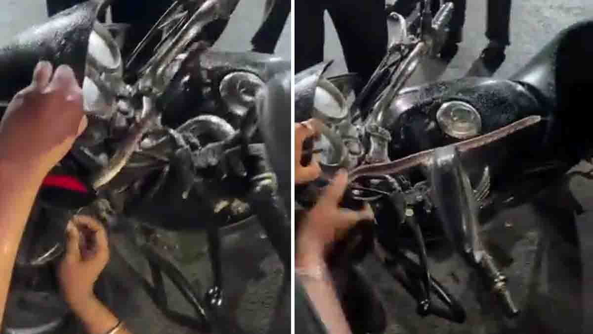 Trinket Snake Rescue: Non-Venomous Snake Safely Removed from Motorcycle Headlight in Pune