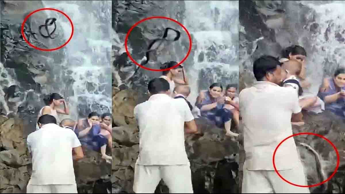 Amboli Waterfall snake video showing a giant snake falling near a tourist carrying a child