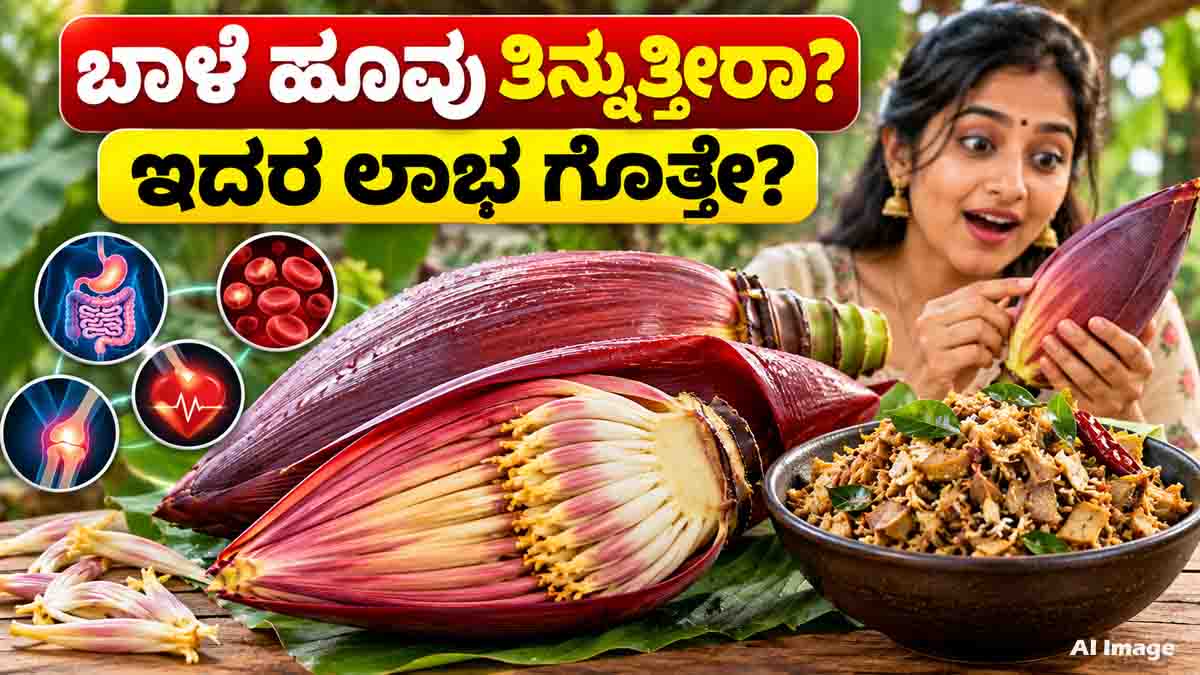 Banana Flower Benefits and nutritional value