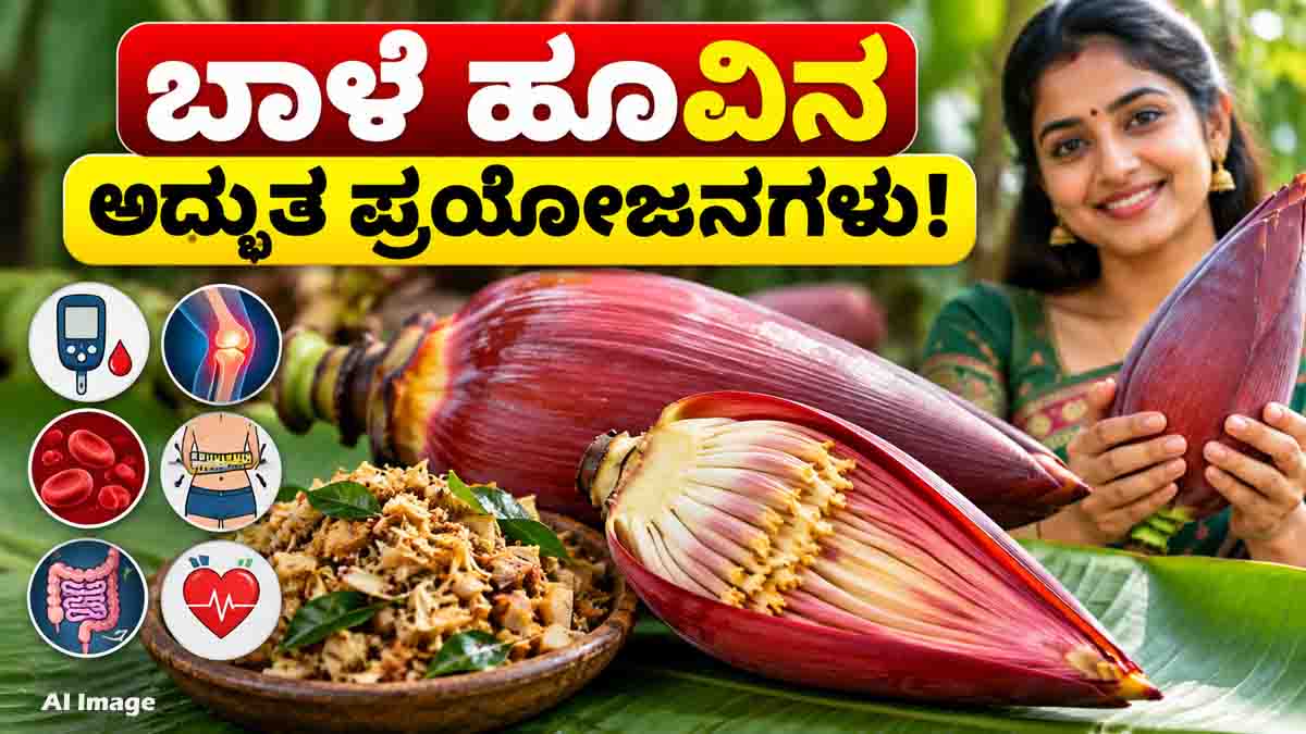 Banana Flower Benefits and nutritional value