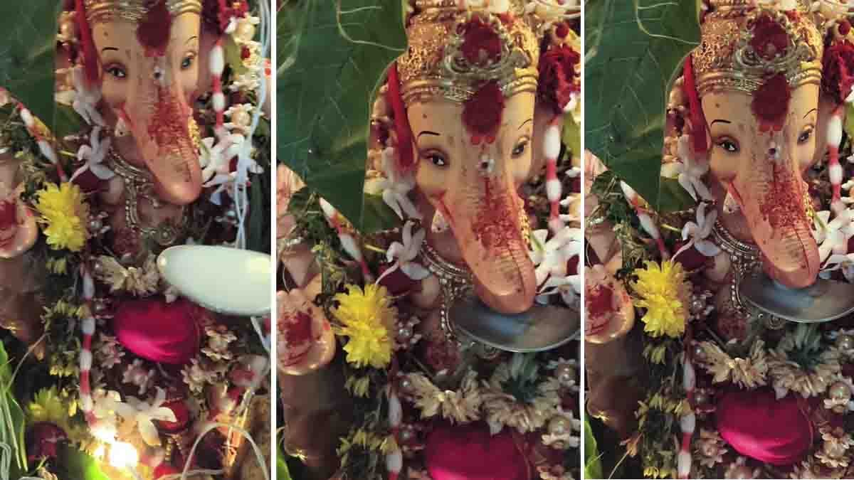 Lord Ganesha milk drinking from a spoon in viral video