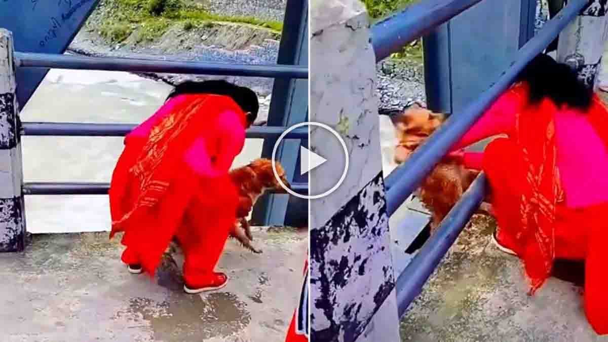 Nepal woman throws dog into Seti River in viral animal cruelty incident