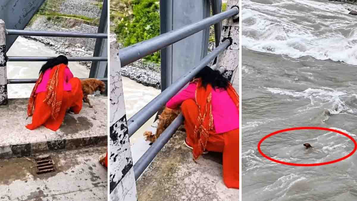 Nepal woman throws dog into Seti River in viral animal cruelty incident