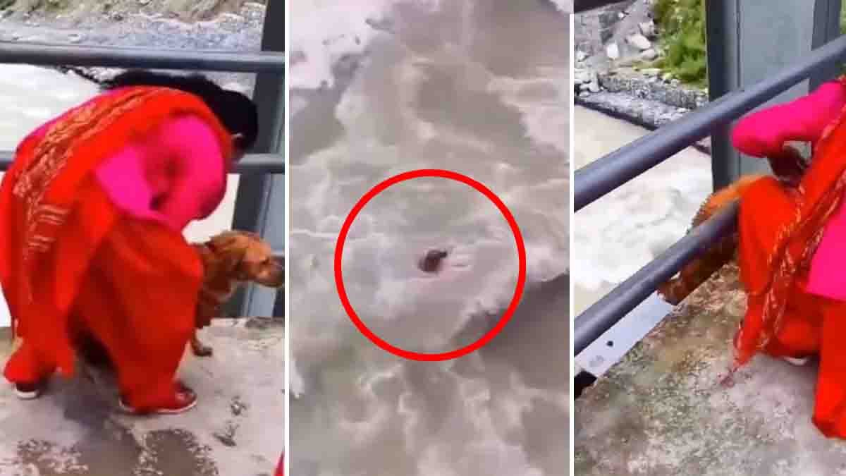 Nepal Woman Throws Dog : ಆ ಮೂಕ ಜೀವಿಗೆ ಏನು ಗೊತ್ತು ಮನುಷ್ಯ ಇಷ್ಟು ಕ್ರೂರಿ ಅಂತ? ಸೇತಿ ನದಿಗೆ ಶ್ವಾನವನ್ನು ಎಸೆದ ಮಹಿಳೆ! 1 Nepal woman throws dog into Seti River in viral animal cruelty incident