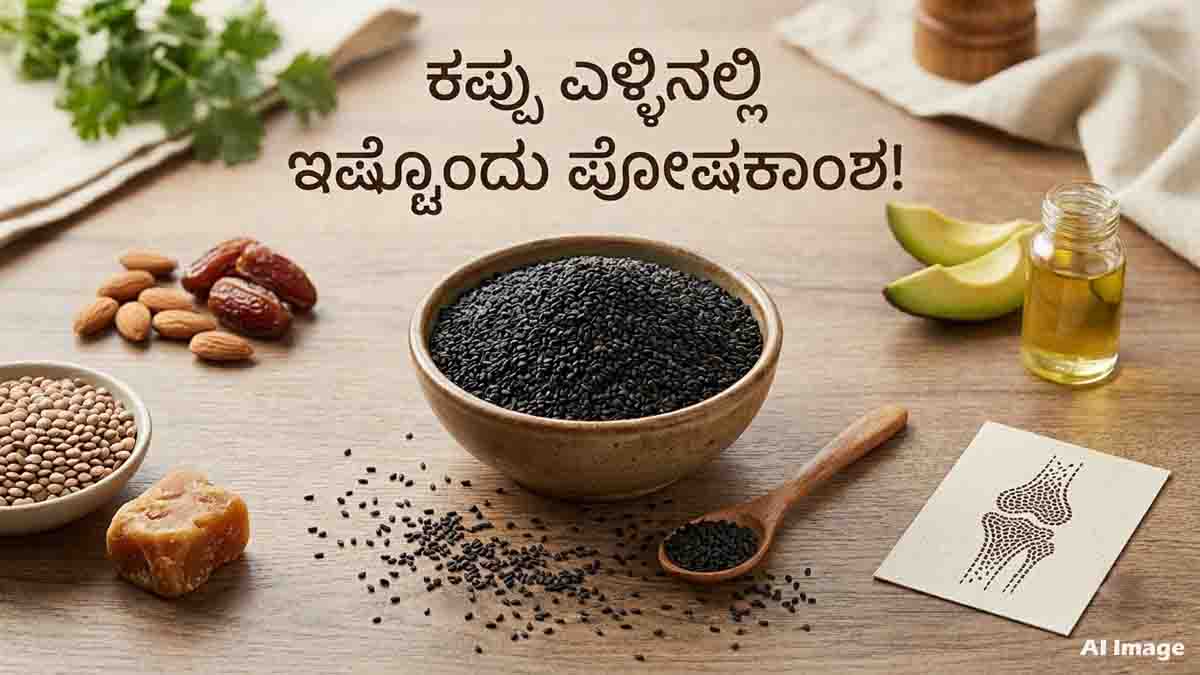 Black Sesame Seeds Benefits including protein, calcium, iron and healthy nutrients