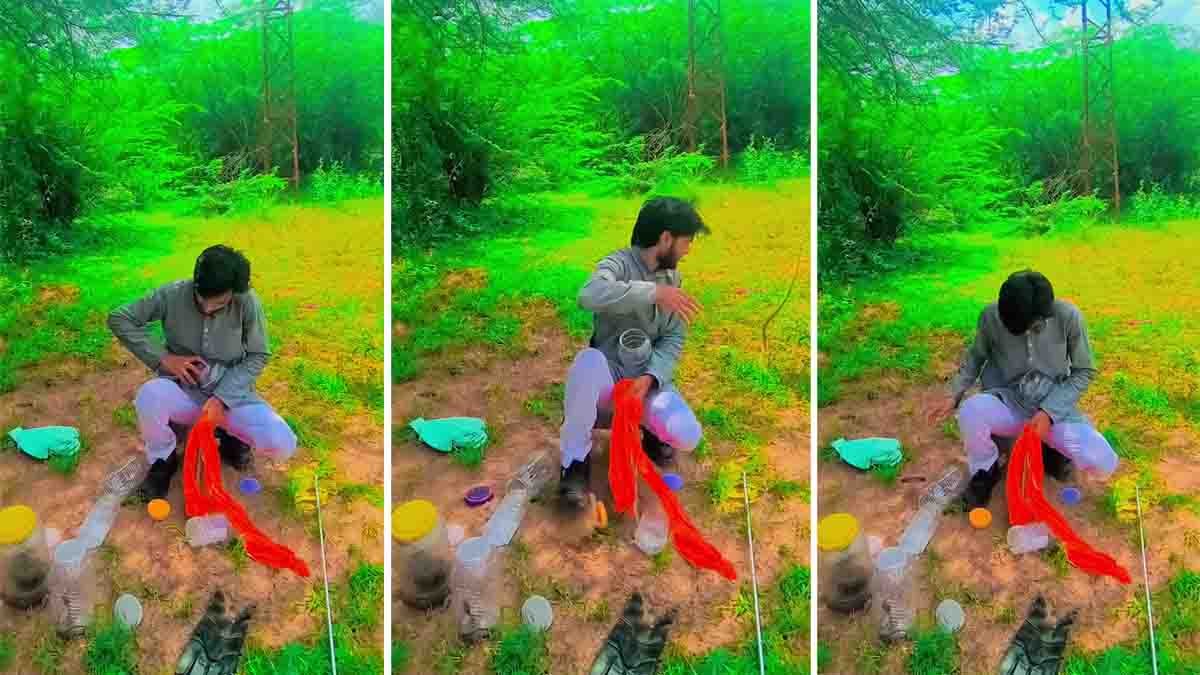 Snake rescuer attacked by a snake while releasing it into the wild
