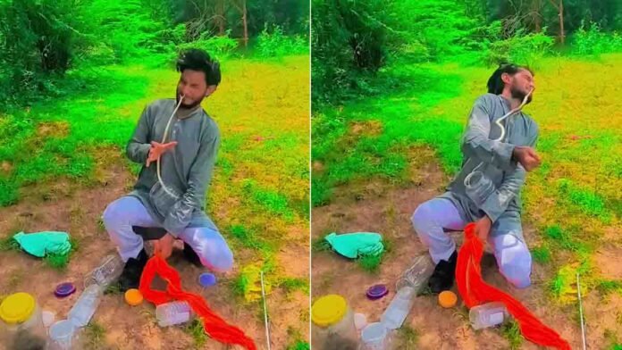 Snake rescuer attacked by a snake while releasing it into the wild