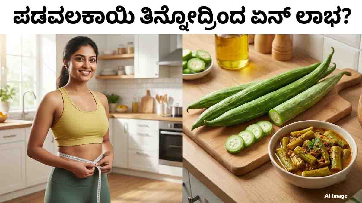 Snake Gourd for Weight Loss – healthy vegetable and diet