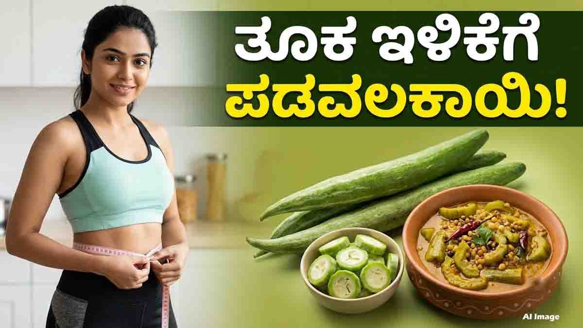 Snake Gourd for Weight Loss – healthy vegetable and diet